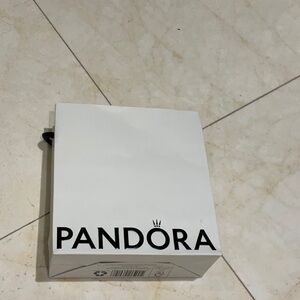 Pandora gift bag
